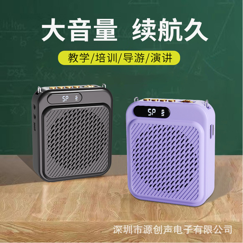 新しいクロスボーダーダブルマイク教師教育リトルビーアンプカード U ディスク Bluetooth プレーヤーガイドマイク|undefined
