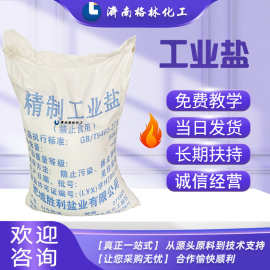 原料批发 现货供应 融雪剂 肥城胜利工业级氯化钠氯盐 精细工业盐