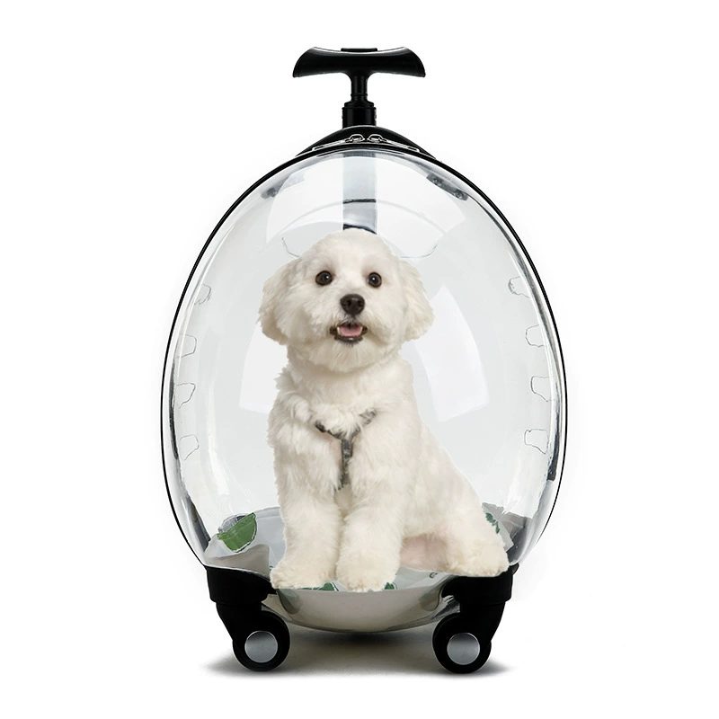 Capacious suitcase to go out, space handheld cart, pet