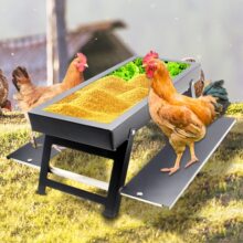 ���P��uιʳ��Ұ�����uιʳ����ˮιʳ���m����u�������Z�����u
