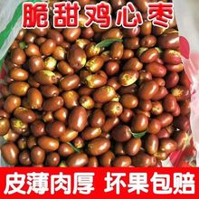 ɽ���\�����r�u�ė���t���r�����Դ���ɽ�������R�����u�ė����r