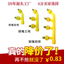 ��ș�C�߉����{�F�����F�����^ �r�Ç��F�����^�����~�쇊�^���