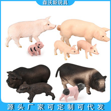 仿真越南猪小猪公母猪模型实心办公室摆件塑料动物模型亚马逊