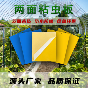 ���Qճ�x���p���S���T�x�{�������ľ���@��@�E�R�׷�ʭ���xֲ��