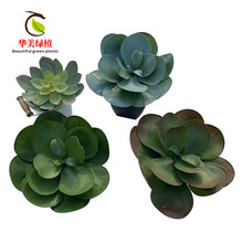 �������ֲ���^��ɏ ��̖��ɏ���Ҿ�ܛ�b�b���Gɫֲ�������