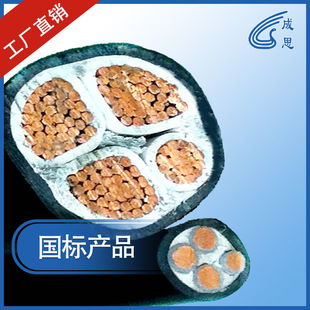 ��ꖮa���˳�˼��ZC-VV22-3*10+1*6�~о4о�����|