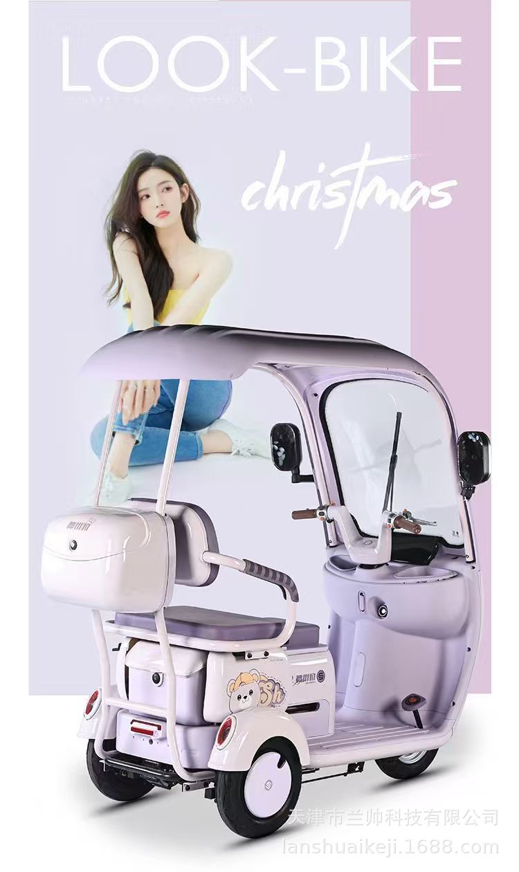 New National Standard Electric Tricycle with Canopy