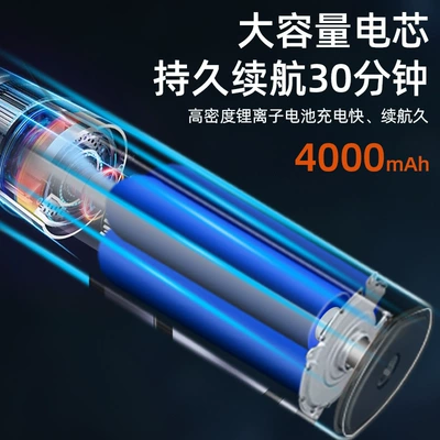 vacuum cleaner, Tozsoranlar