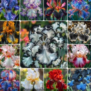 �{���Sβ�N�ӻ�����β�ļ����N�_���׻�ͥԺ���^�G��������ꎷN��