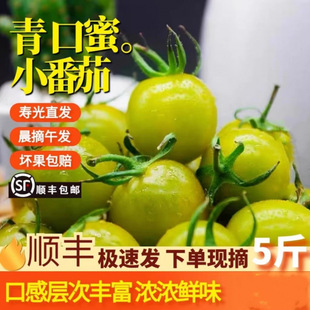 ɽ�|�H��������}Ů����ɫ�GɫС�������t���Fժ�F�l�����֭ˮ��