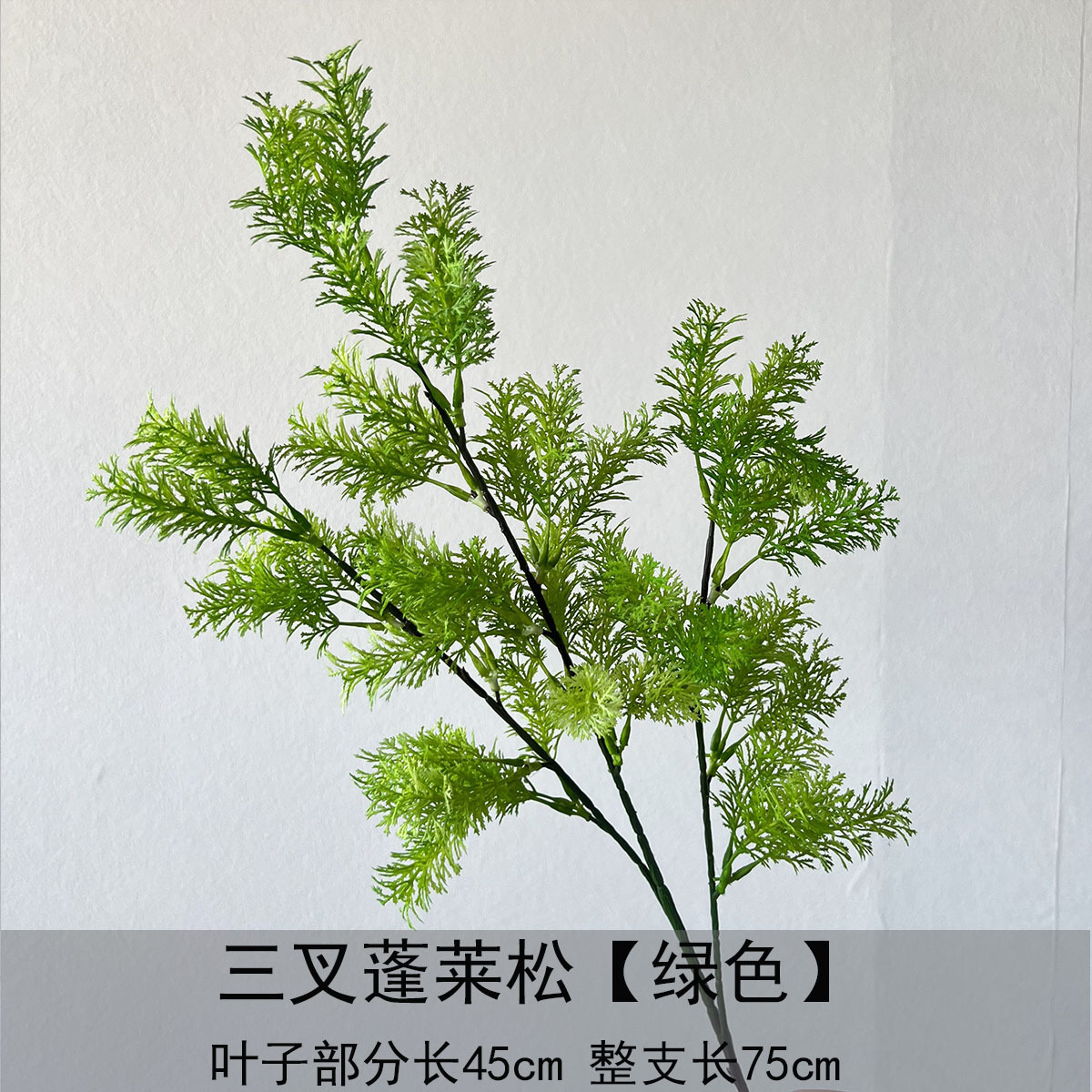 Trident penglaisong - verde