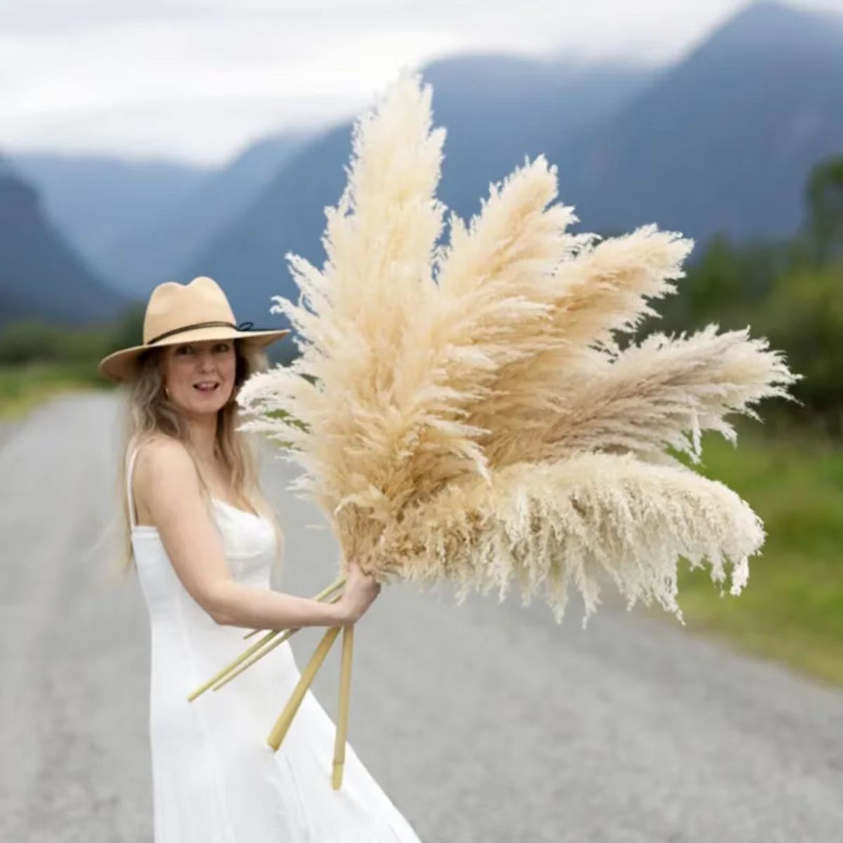 蒲苇干花灰毛大芦苇蒲苇婚庆装饰北欧风大小芦苇干花厂家批发
