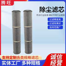 工业除尘过滤防静电滤筒滤清器 空气过滤折叠除尘滤芯 除尘滤芯