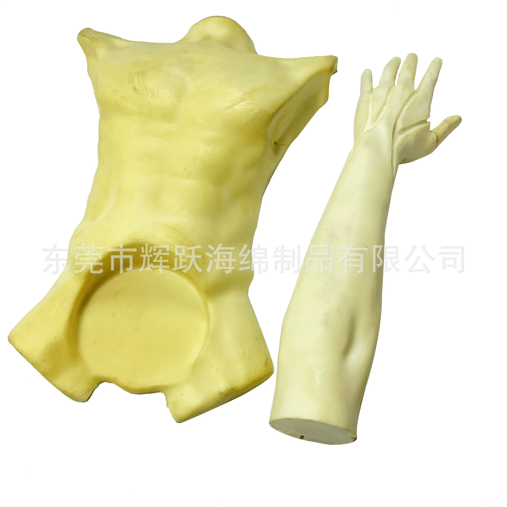 Индивидуальный полиуретановый пенополиуретановый пенопластовый макет человека, образец костей конечностей для лаборатории