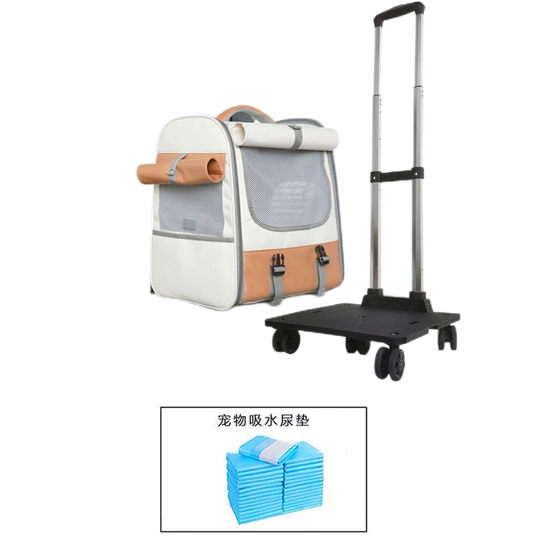 Suitcase to go out, capacious backpack