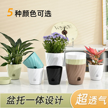 新款接水盆绿萝植物三个装小花盆家用高级感水养水培园艺塑料盆器