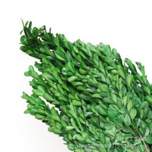������С�~�S�� ���� �����~�� �ҾӲ廨�b�������DIY����