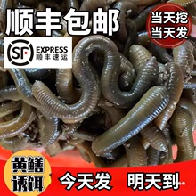 ���w������r��������S�X�����ش��������Ұុ��D�r���ٰl