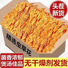 虫草花干货批发农场自种工厂直发金蛹虫草菌菇炖鸡汤火锅食材特产