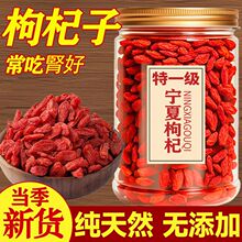 ����ӌ���500g���ڴ��w���t������轘��o�Ӳ���ˮ�ɳ����I�ڹٷ�