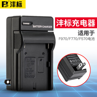 LED摄像灯单反补光灯npF550/F770/F970/F750/F950锂电池 充电器适|ms
