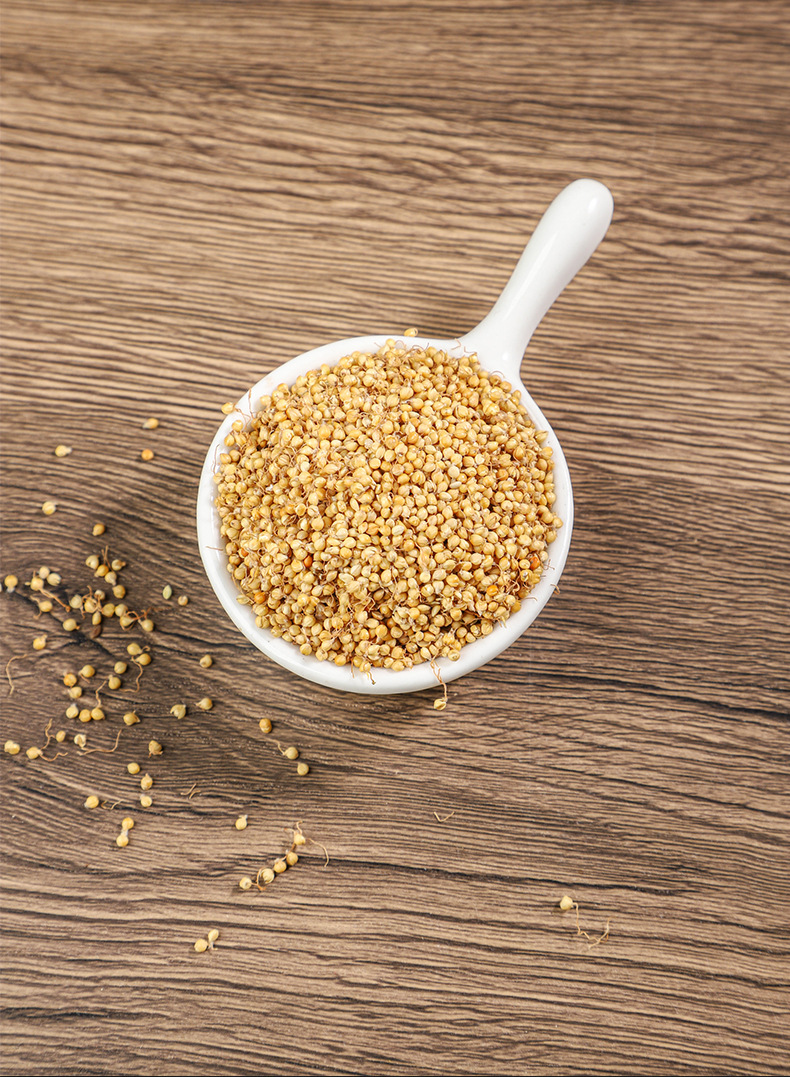 Dried Rice Sprout Gu Ya 500g Bulk Grain Sprouted Rice Herb for Decoction and Culinary Use quality and texture