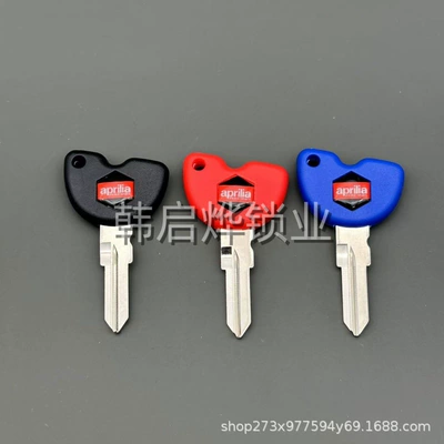 spare key buried mine – Motorcycle Key