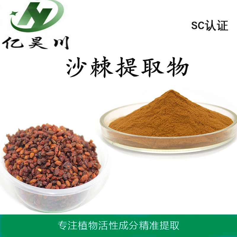 沙棘提取物10:1 全水溶沙棘粉 黄酮粉厂家现货量大从优