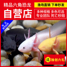 �������~���ǿ����~���~ϔ���B��ˮ�~�o������^�p�~���ﵭˮ�~
