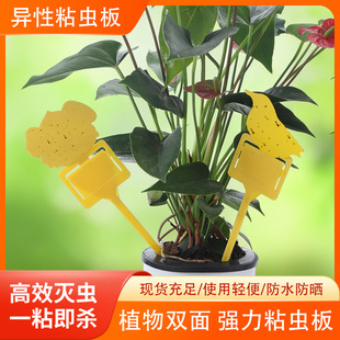 �p�殐����x��ճ�x���ω�T���Sɫ�N�����x����ֲ�ﱣ�o�T�x��