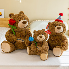 Birthday hat gift teddy bear plush toy cute bear figure for girls sleeping pillow