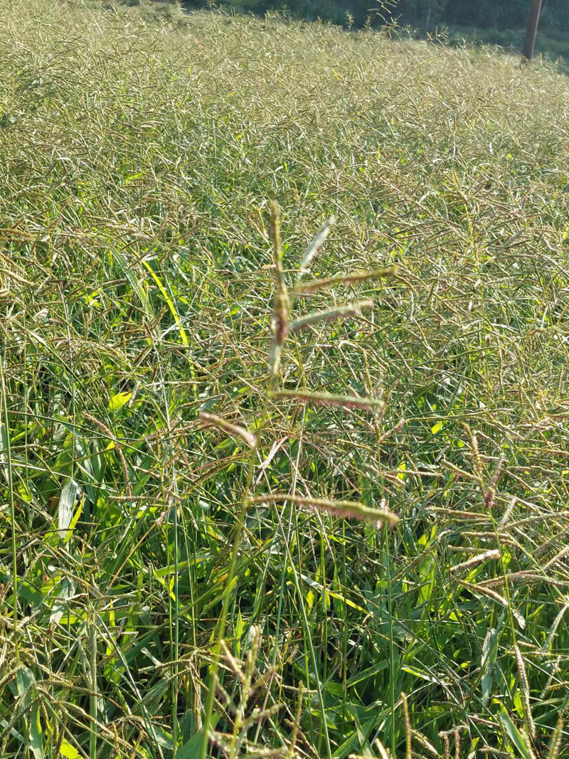 2ff6321572fe28a9885c5850bae943