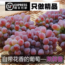 葡萄东北茉莉香新鲜提子郁金香水果3-3.2斤（3~7串）非无籽红提