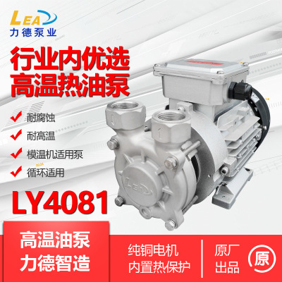 high temperature heat conduction Oil pump Chemical pump LEADPUMP loop Stainless steel pumps LY4081