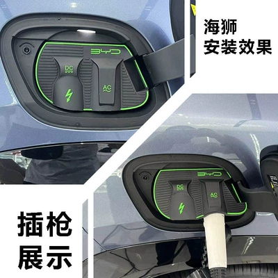 Special flip type charging port: Other Automotive Exterior Supplies - sea-lion-07ev-only-cp39
