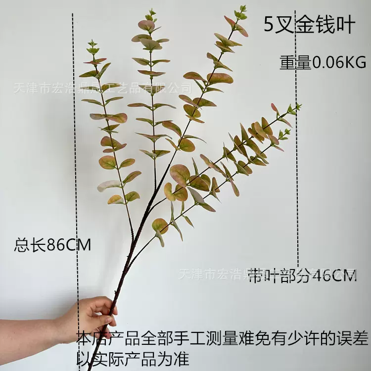 新款仿真5叉金钱叶 尤加利叶 婚庆婚礼堂背景软装装饰搭配叶 外贸