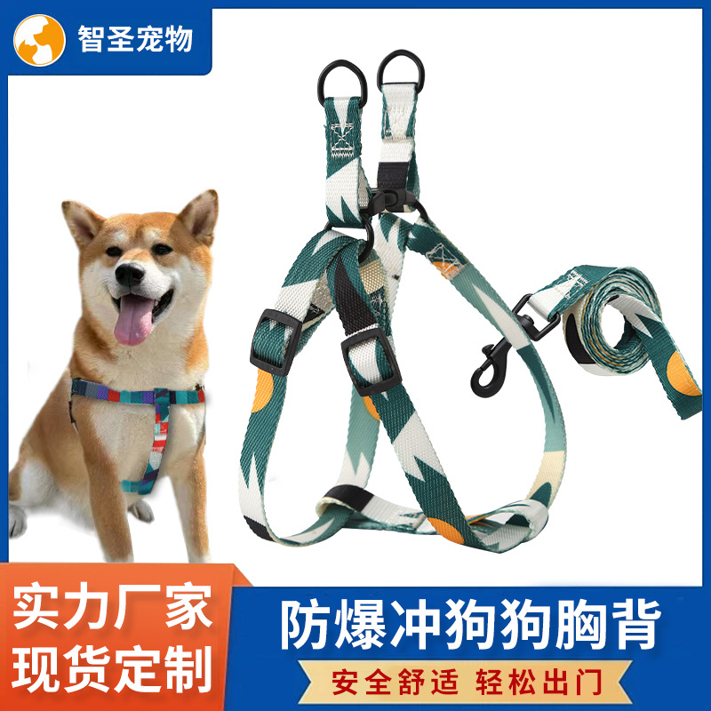 Correa para el pecho, correa de perforación a prueba de explosiones, cuerda para pasear al perro, Teddy Corgi Golden Retriever, productos para mascotas para perros pequeños y medianos al por mayor