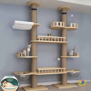 ?ͨ����ľ�|؈ץ��؈����؈��̨������߹��S���l؈�C؈��؈�e��