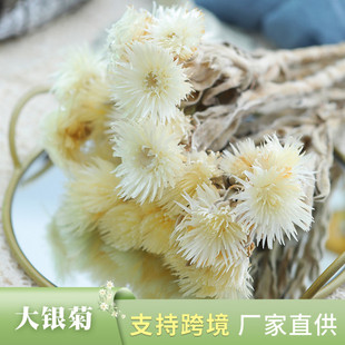 ��ʯ����ѩɏɺ�����y���r�� �ɻ�diy���ϰ��[�����������ɻ����l