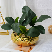 PU仿真蝴蝶兰叶子手感兰花叶婚庆家居装饰插花假植物盆栽绿植配件