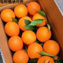 橙子新鲜脐橙水果新鲜甜橙冰糖橙非爱媛果冻橙赣南的脐橙整箱批发