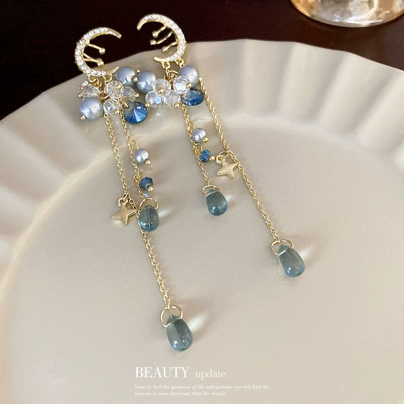 Earrings with tassels, light luxury style, no pierced ears, internet celebrity