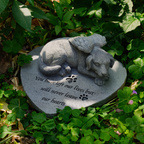 ���� ����������ʹС������o��Ĺ�� ��֬��ˇƷ���S���l���R�d