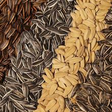 ���ӳ�؛4��ԭζ���㽹�Ǽt������ɽ����ζ�����ѳ���؛С���b5��