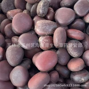 500�� ��ș�� ľ���� ���� �^������ �^������ �a��ֱ�� ���l