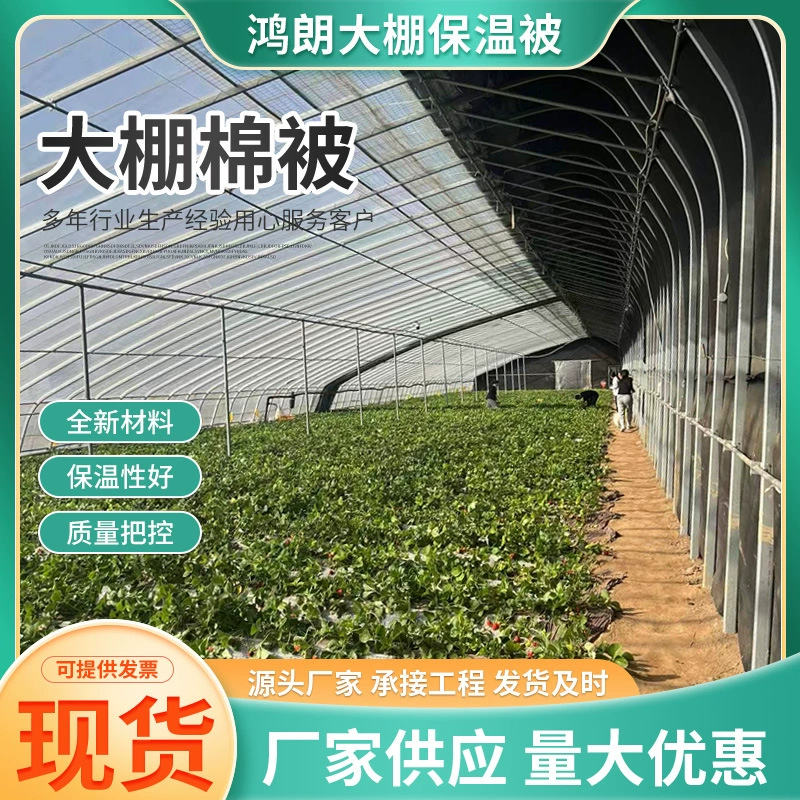 Теплоизоляционное укрытие из пленки для теплиц для выращивания овощей, цветов и фруктов, а также для защиты от холода