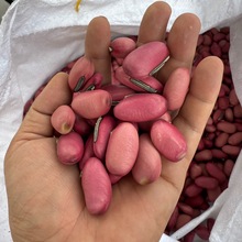 ���l���|ħ���t�����a��ֱ�l����ă�һ��؛Դ�t����������