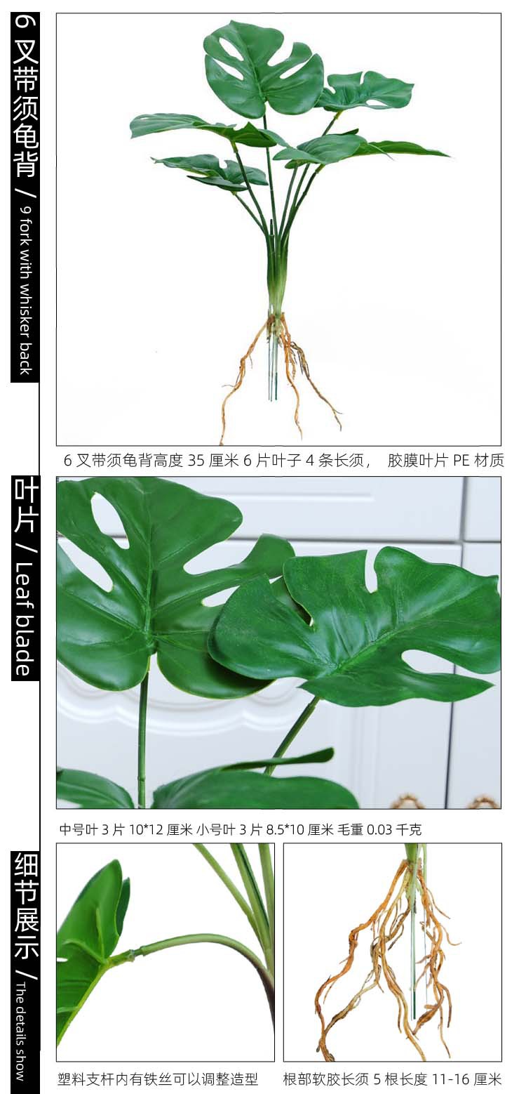 6叉带须龟背 副本