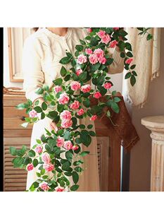 ������õ�廨�����͏d�̨���{�ܵ�ͥԺ�b��ٗl���ڒ�Gֲ