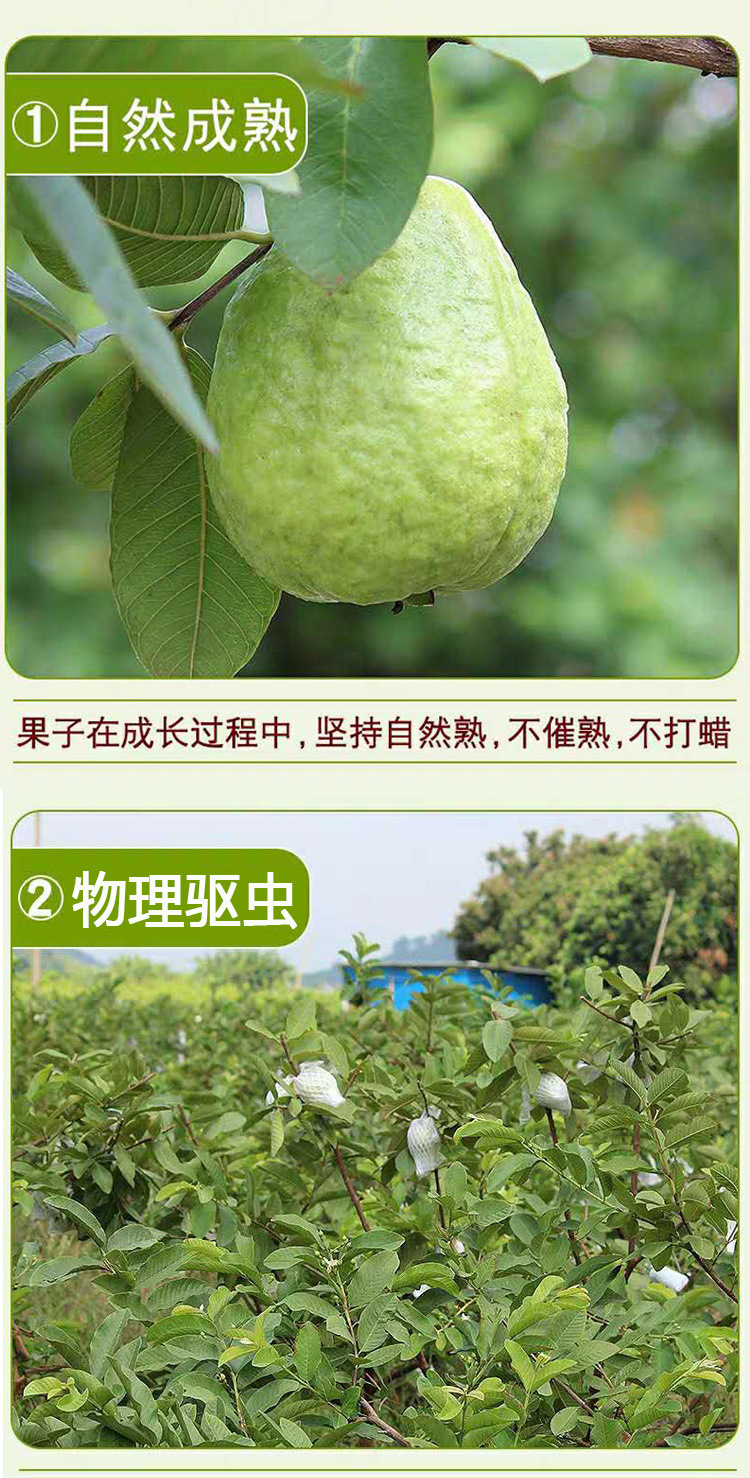 1c9fa544-331d-45ae-93a8-a6fdce7699ba.jpe